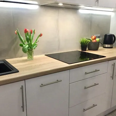 Apartament Galczynskiego Ольштын