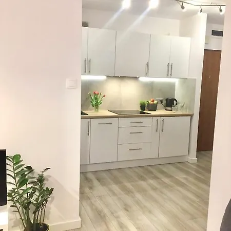 Apartament Galczynskiego Апартаменты Ольштын